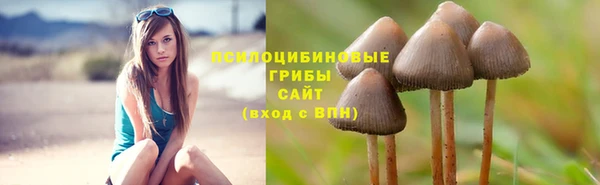 прущая мука Армянск