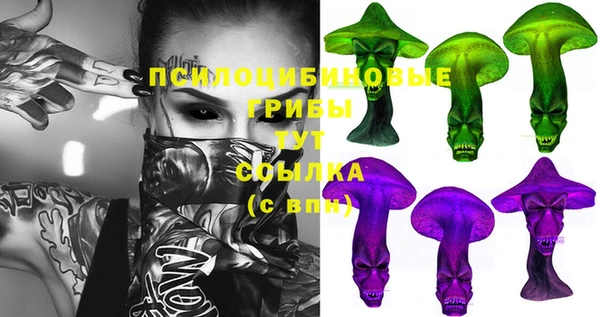 тгк Арсеньев