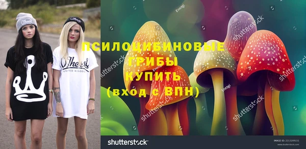 бутират Баксан